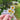 Sticker with sunflowers and 'keep blooming' text held in a hand with a blurred natural background