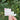 holding a sticker that says Paint Flowers Everyday with subtle floral colors inside the letters