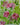 Painted Flowers with matching swatch colors 