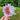 A person holding a coneflower sticker that reads Live Outside the lines with a blurred natural background 