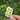 a sunflowers sticker held in front of a natural background outside 